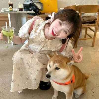 暗金烂狗8